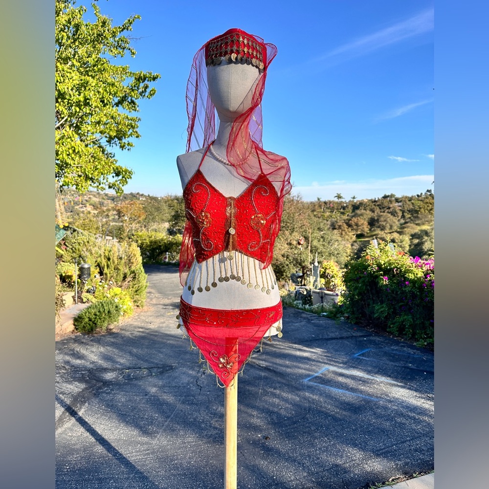 Belly Dance Costume new hand made Bra, trousers, 2 arm sleeves, hat& crop top - Picture 1 of 16
